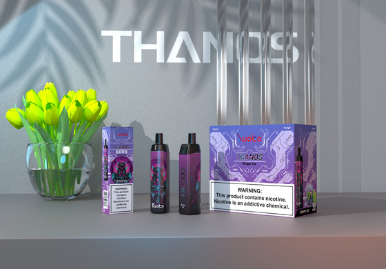 2022 Новое поступление одноразовая электронная сигарета Vape14 мл E-Liquid 650 мАч батарея виноградный лед для дистрибьюторов слойки